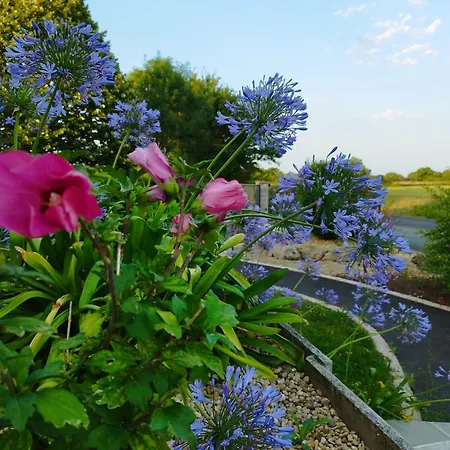 Le De L'ogerie - 20 Min Du Puy Du F - Petit Dej Et Draps Compris