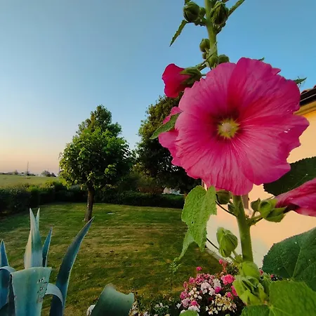 Le De L'ogerie - 20 Min Du Puy Du F - Petit Dej Et Draps Compris Saint-Christophe-du-Bois