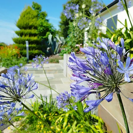 Le De L'ogerie - 20 Min Du Puy Du F - Petit Dej Et Draps Compris בית נופש Saint-Christophe-du-Bois