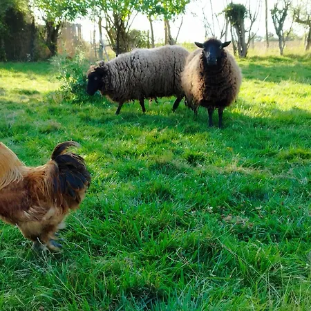 Le De L'ogerie - 20 Min Du Puy Du F - Petit Dej Et Draps Compris Saint-Christophe-du-Bois